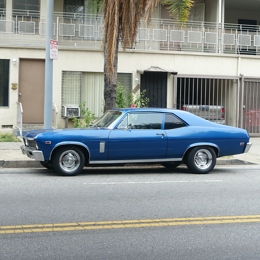 Dottie and Her Blue Chevy Nova: A Lesson in Emotional un-Intelligence